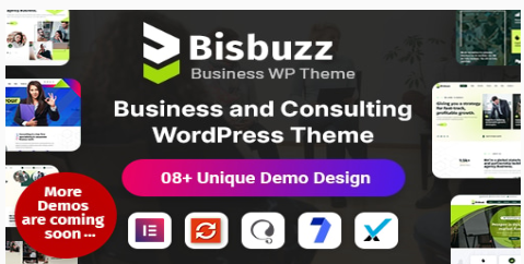 Bisbuzz - Business Consulting WordPress Theme 1.0