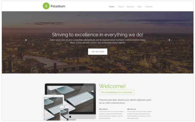 Web Development Responsive Website Template