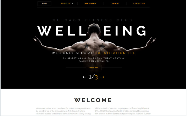 Wellbeing Website Template