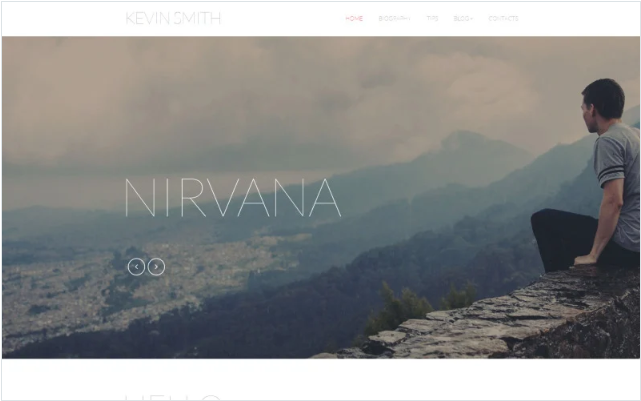 Writer/Author Responsive Website Template