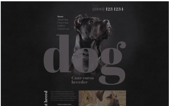 Dog Breeder Website Template