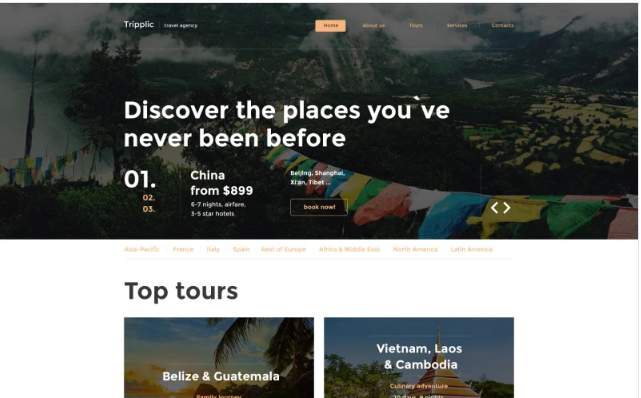 Tripplic Website Template