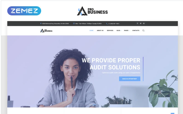 proBusiness - Elegant Audit Company Multipage HTML Website Template