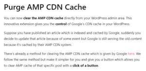 Purge AMP CDN Cache 2.0.6