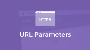 URL Parameters – Quiz And Survey Master 1.0.4
