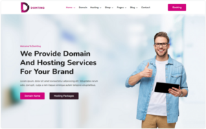 Domting - Domain and Hosting Provider Company and Agency HTML Website Template