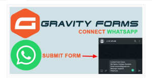 Gravity Forms Connect WhatsApp 1.1.1