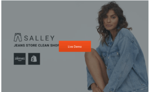 Salley - Jeans Store Clean Shopify Theme